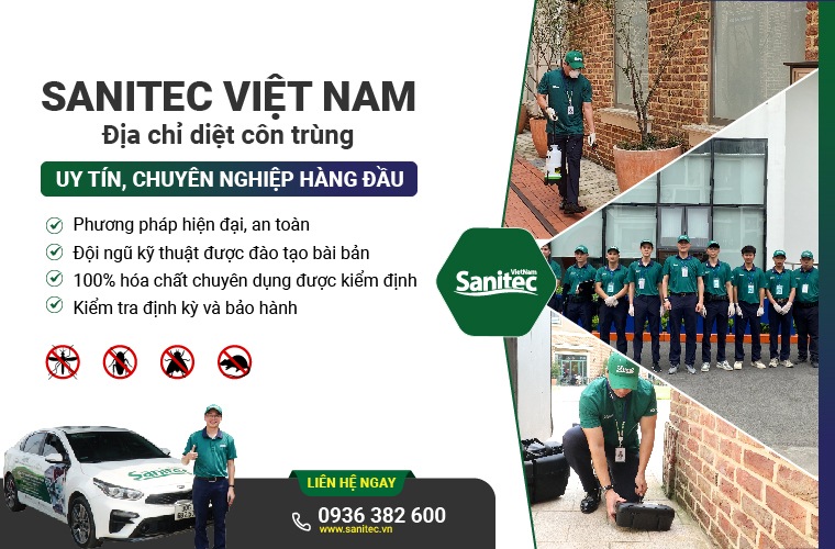 Dịch vụ diêt côn trùng sanitec Việt Nam